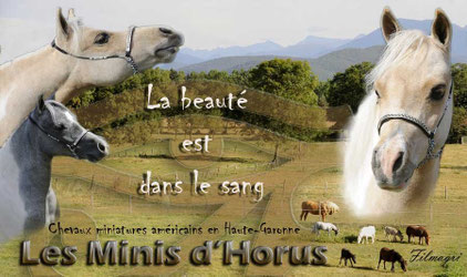 Les Minis d'Horus